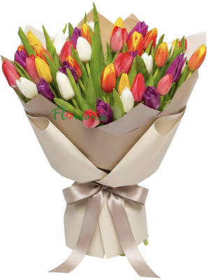 Фанфан Тюльпан